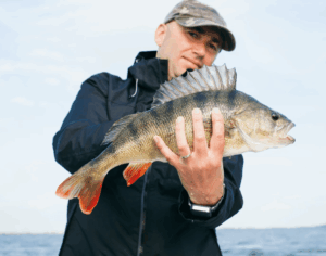Catching a Small-Mouth Bass