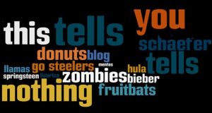 Wordcloud hell, customer insight, and the power of the one  Schaefer