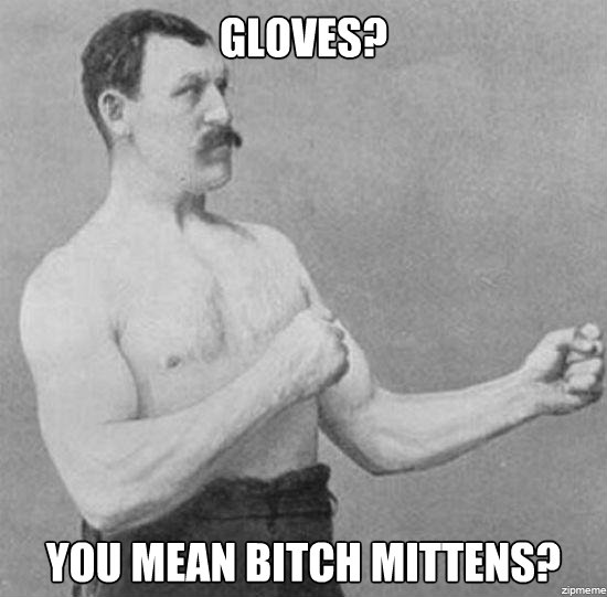 bitch mittens