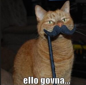Ello and the weird economics of social media - Schaefer Marketing ...