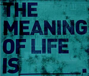 what is the meaning of life