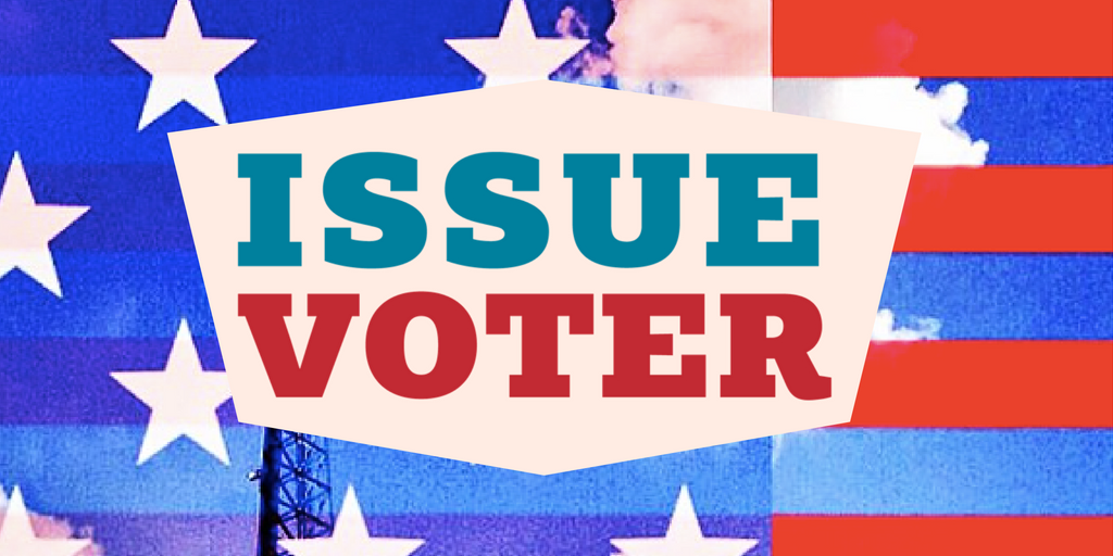 issue voter's logo on top of an American flag background