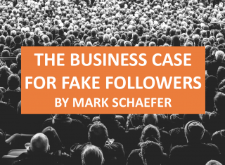 The Business Case for Fake Followers