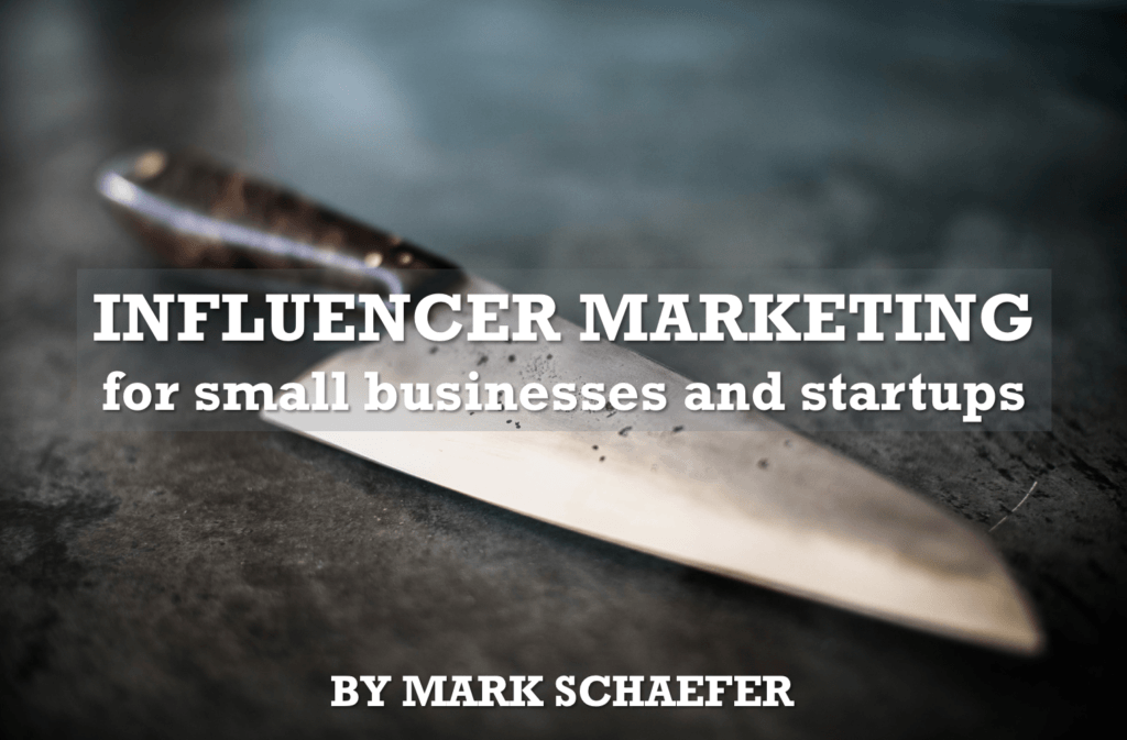 Influencer marketing for small businesses