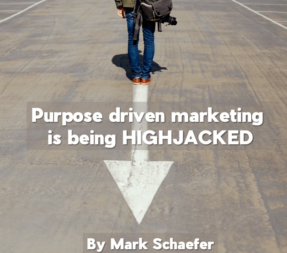 Woke Washing How purpose driven marketing is being hijacked  Schaefer