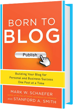 Book - Born to Blog. Building your blog for personal and business success one post at a time.