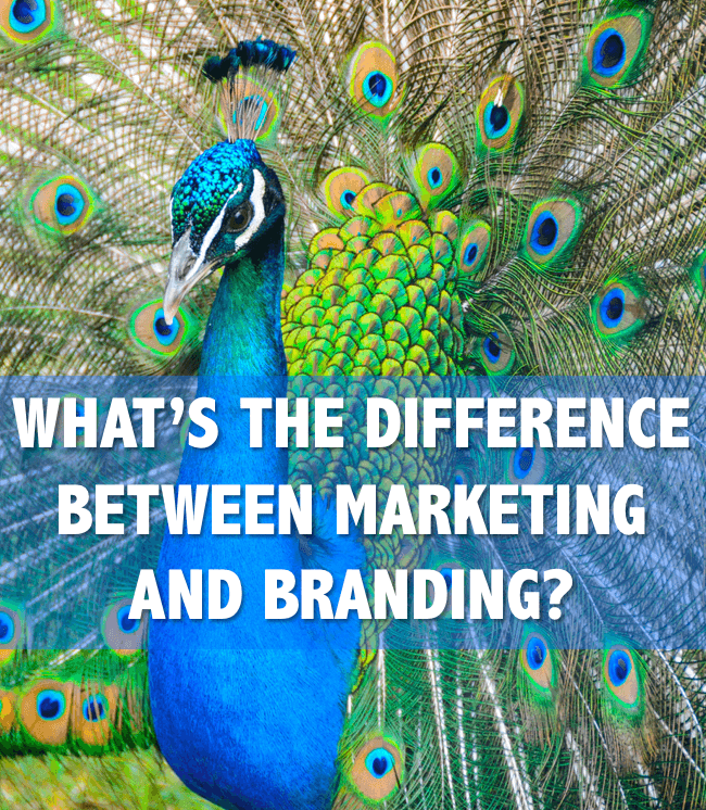 marketing versus branding