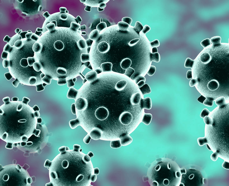 coronavirus