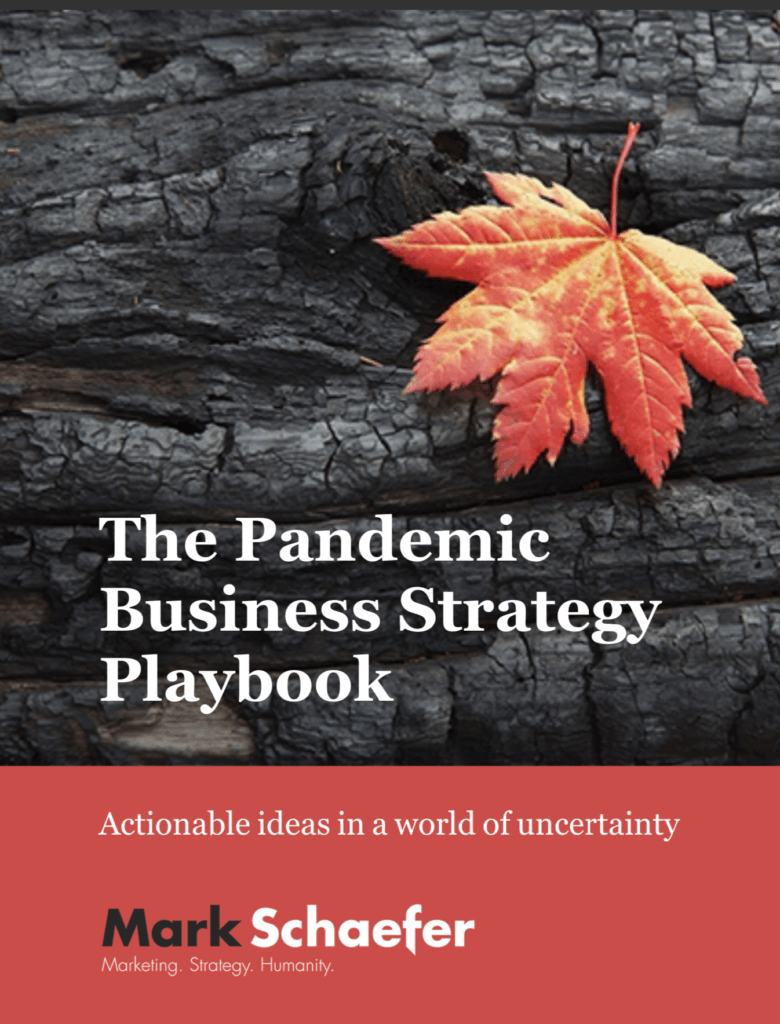 Pandemic Business Strategy