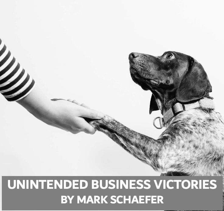 business victories