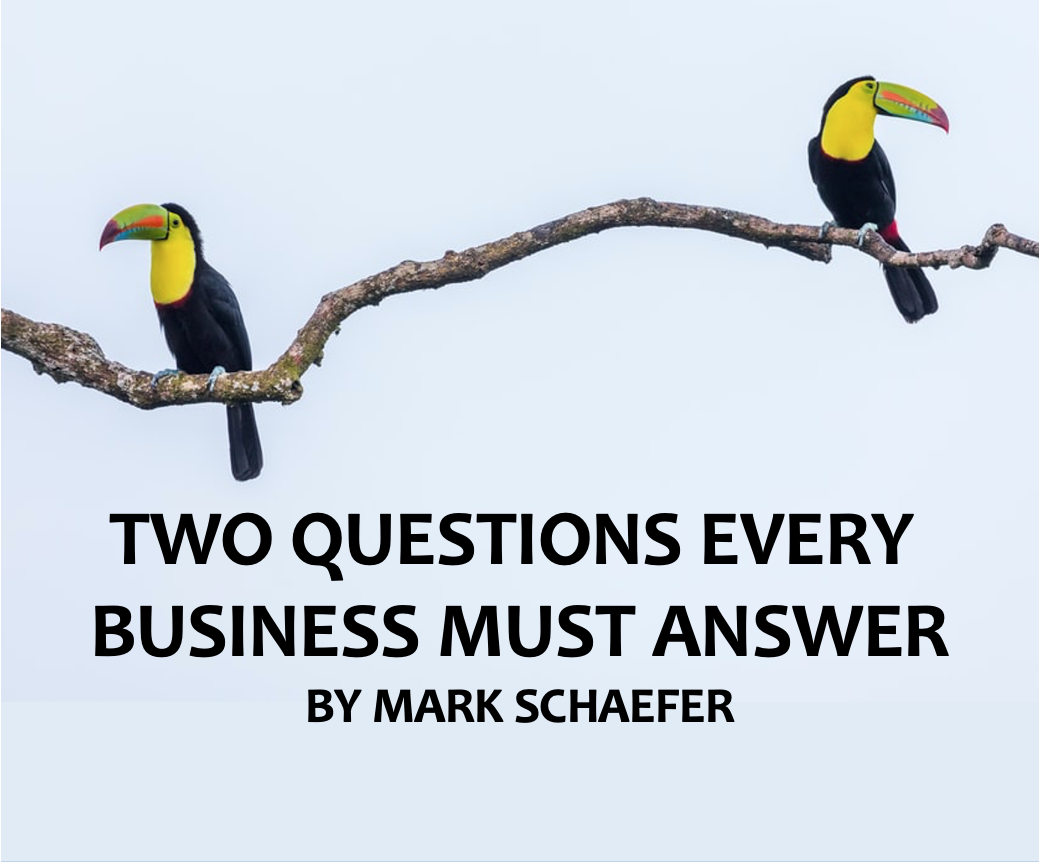 key business questions