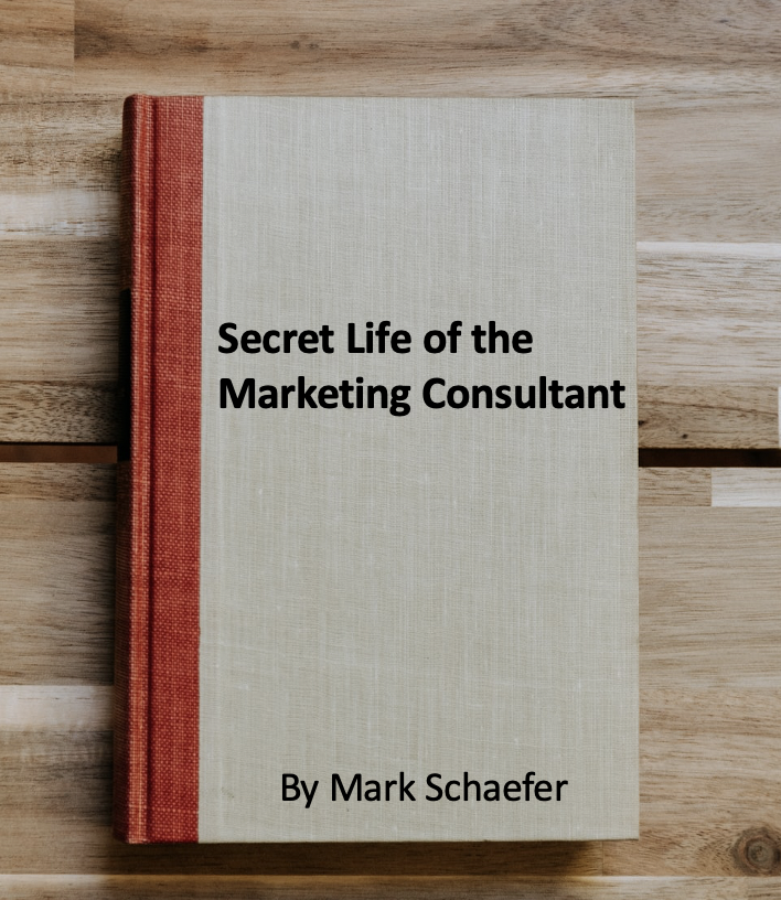 Marketing consultant?  Here are the juicy insider tips!