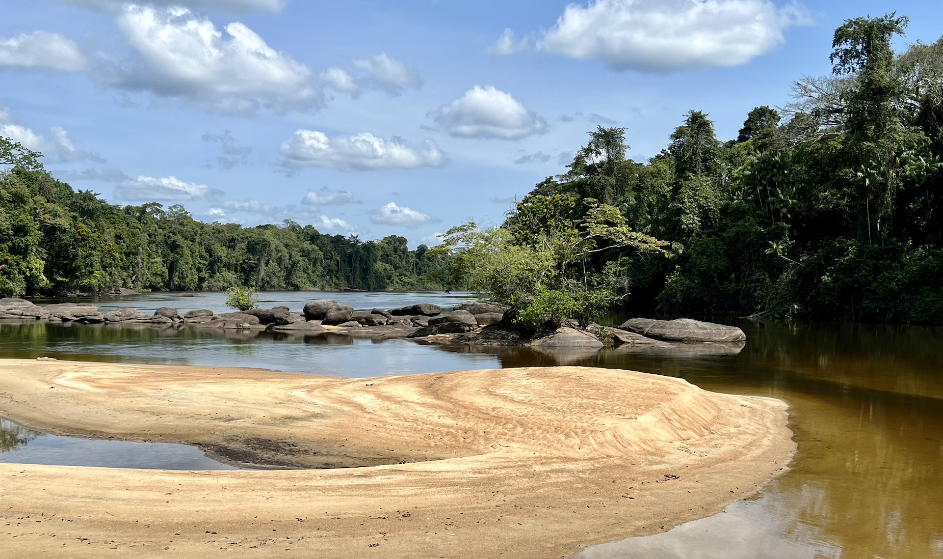 suriname river 