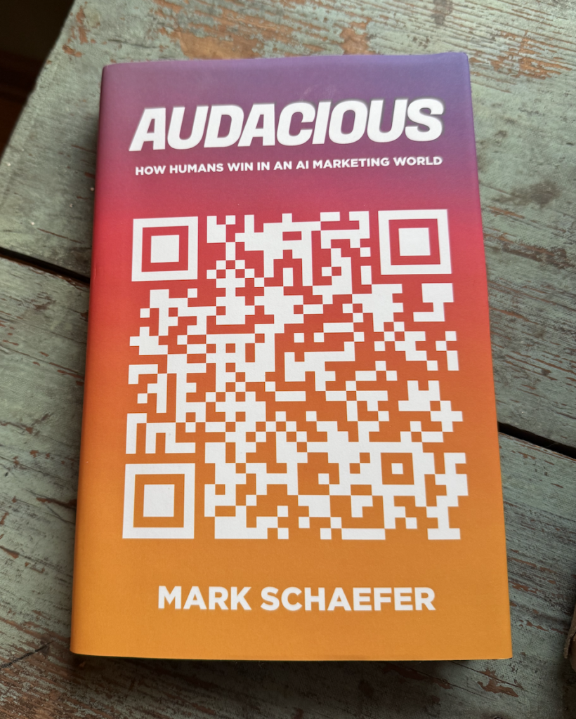 Audacious book