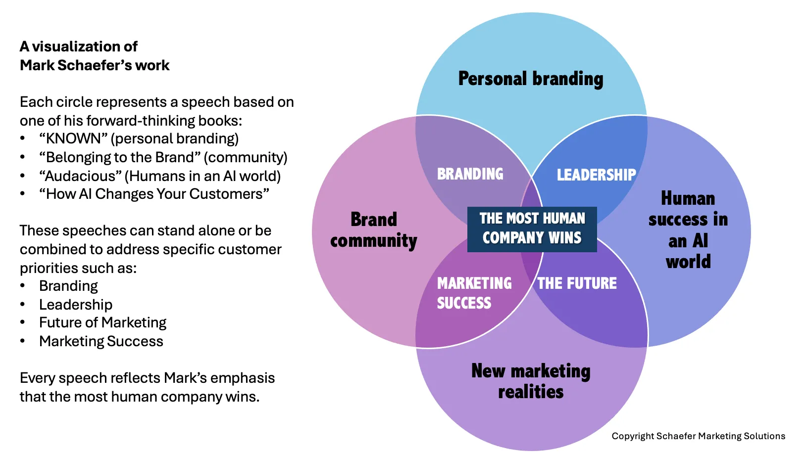 Mark Schaefer speech