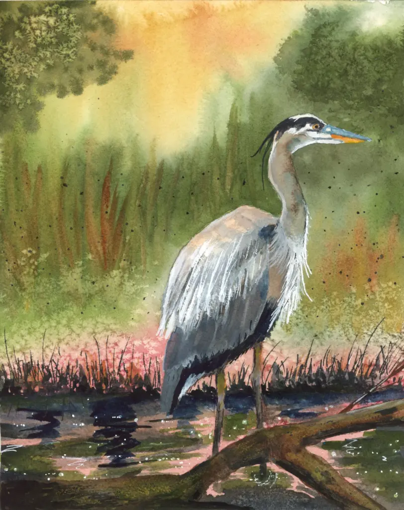 great blue heron watercolor painting
