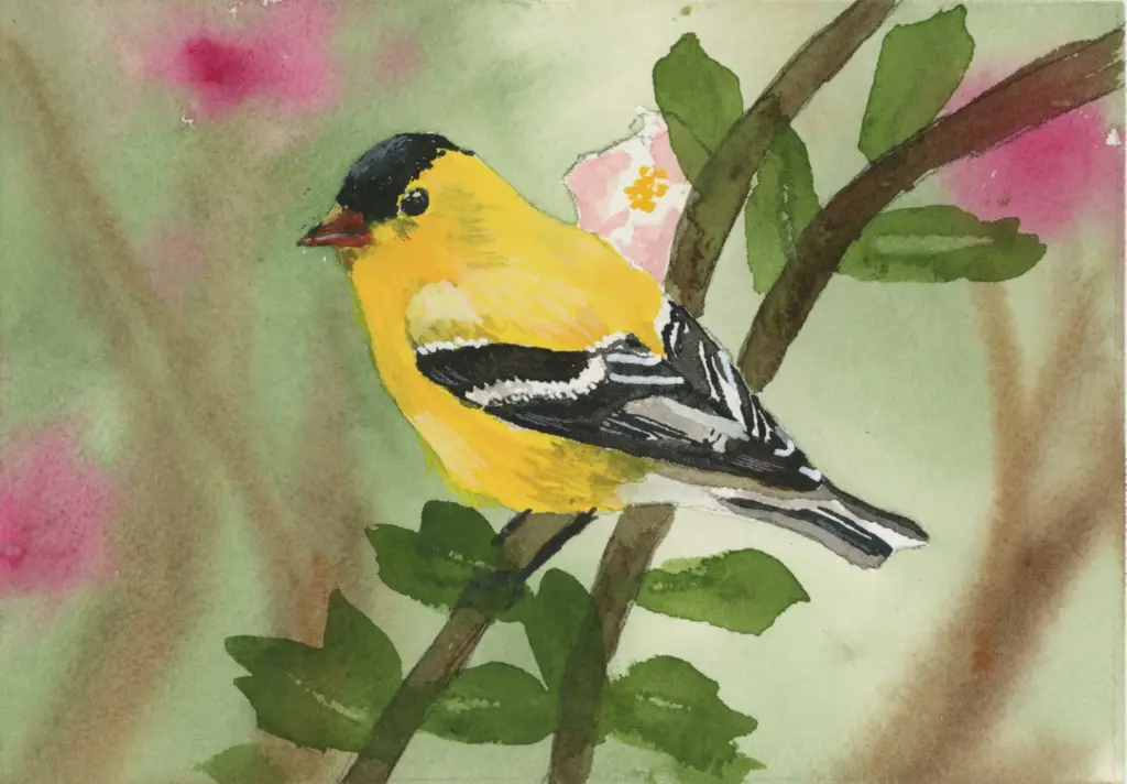 goldfinch watercolor painting