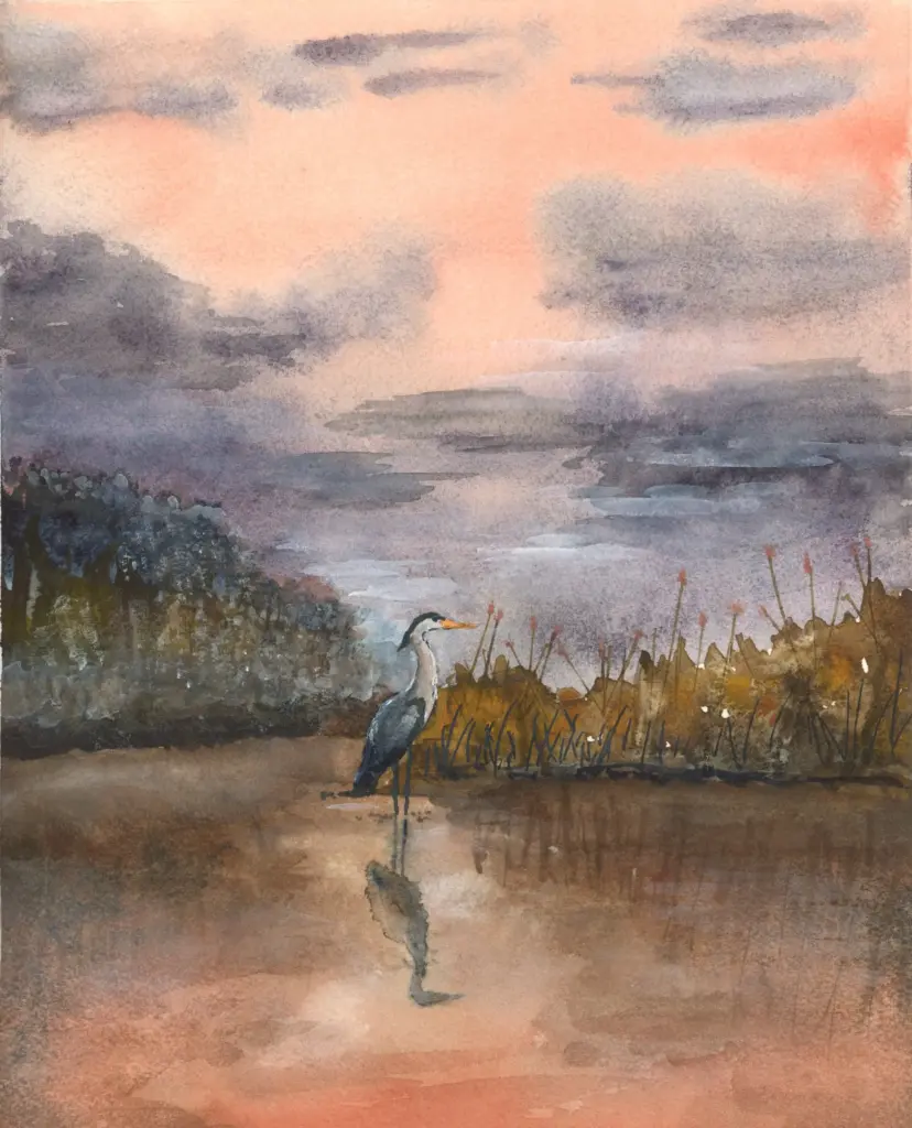 great blue heron watercolor