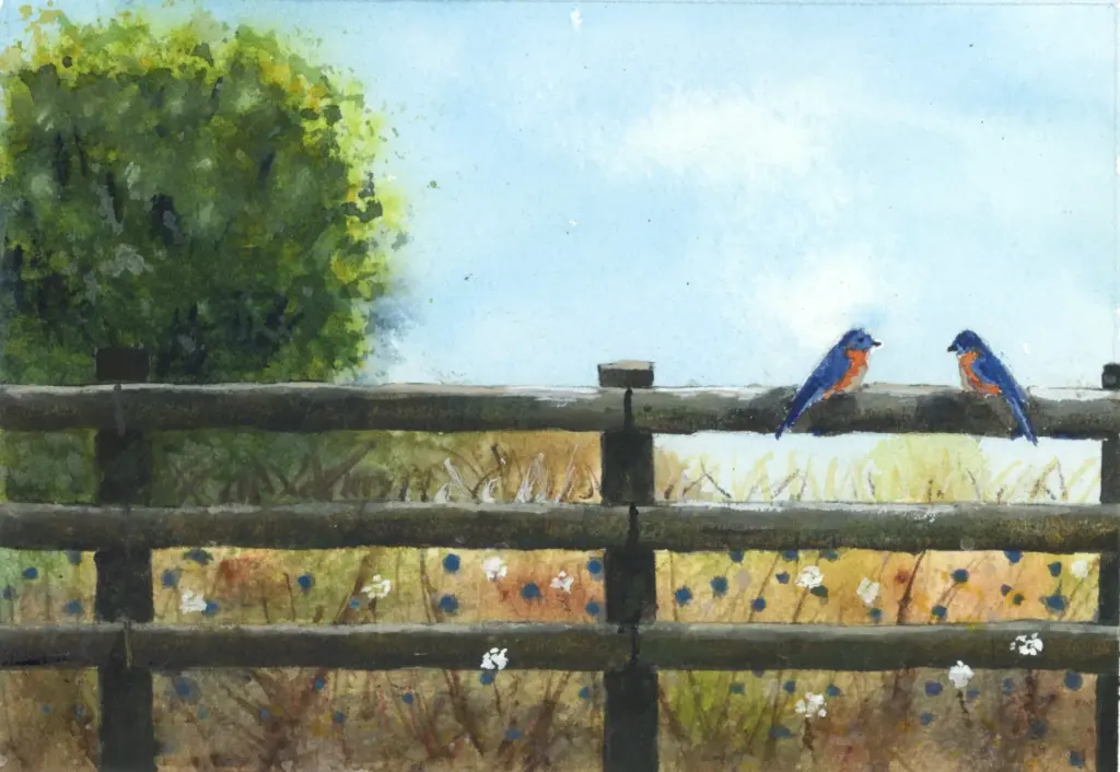 bluebirds watercolor painting