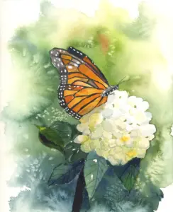 monarch butterfly watercolor painting