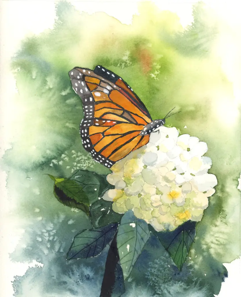 monarch butterfly watercolor painting