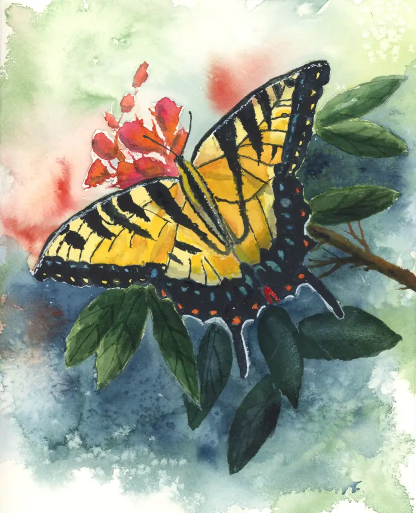 Watercolor painting of swallowtail butterfly
