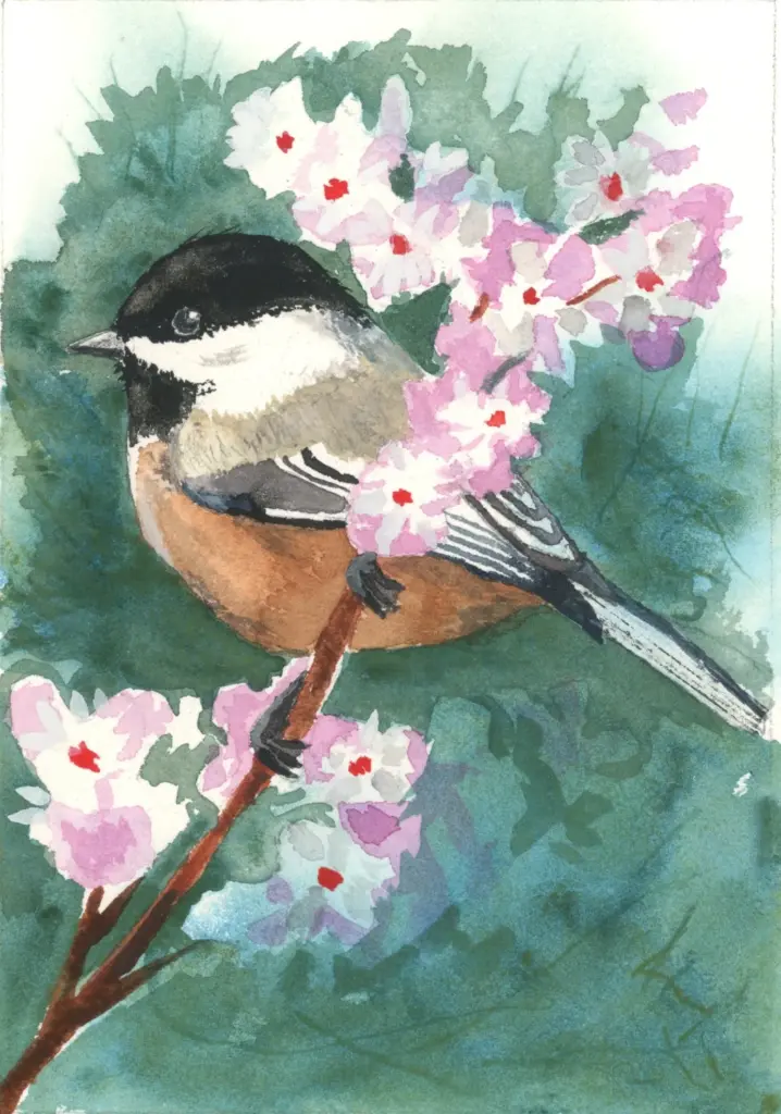 watercolor painting of black-capped chickadee