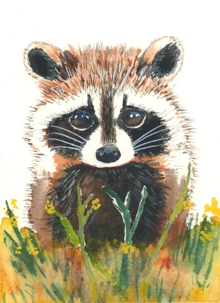 baby raccoon watercolor painting