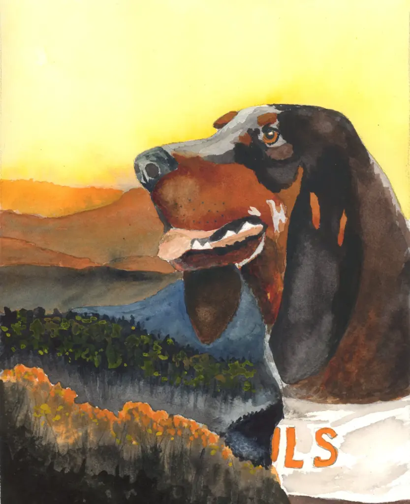UT Smokey watercolor painting