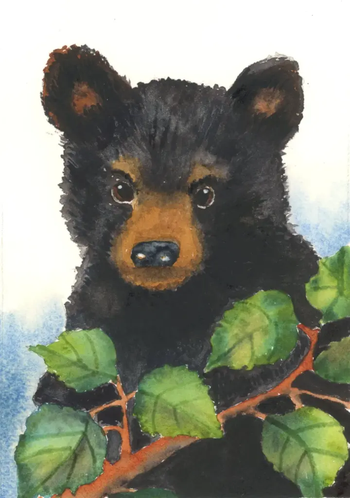 black bear watercolor