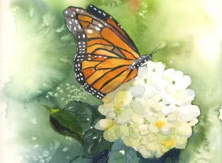 monarch butterfly watercolor painting
