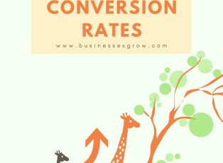 conversion rate giraffes