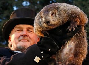 Groundhog-Day.3