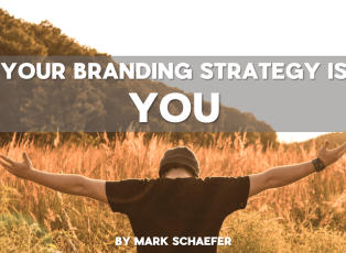 Screen Shot 2019-09-01 at 9.13.29 AM