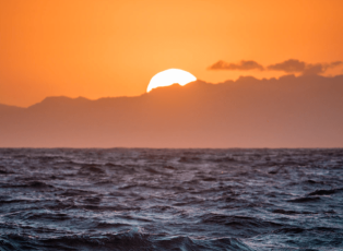 Screen Shot 2020-03-18 at 4.40.54 PM