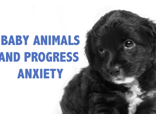 Screen Shot 2020-08-09 at 9.52.44 AM