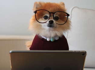 Screen Shot 2021-02-16 at 6.56.47 PM