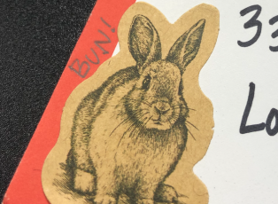 Screen Shot 2021-02-28 at 2.46.08 PM