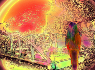 Screenshot 2016-07-08 13.16.06