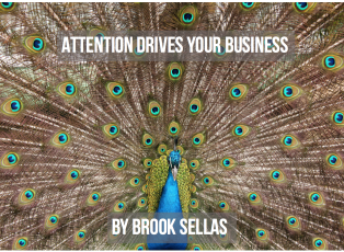 Screenshot 2016-08-01 13.00.59