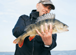 Catching a Small-Mouth Bass