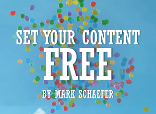 Building Your Brand on Rented Land - Set Your Content Free