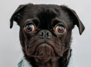 Screenshot 2018-09-16 16.57.13