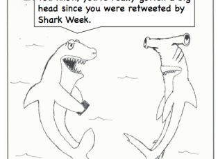 Sharkweek