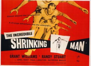 TheIncredibleShrinkingMan