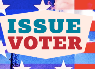 issue voter's logo on top of an American flag background