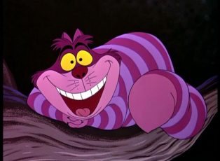 cheshire-cat
