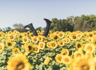 derek-thomson-406050-unsplash CROP