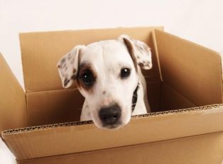 moving