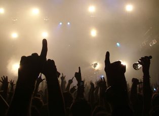 social media audience